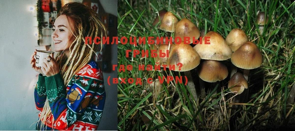 MESCALINE Переславль-Залесский