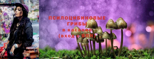 mdpv Пересвет